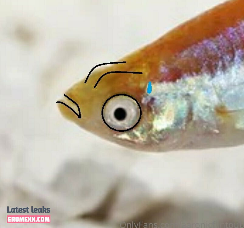 Latest Leaks aaronicflintpublic Nude #13 - Erome